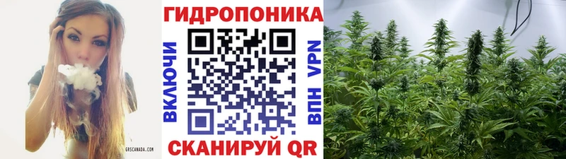 Где купить наркотики Симферополь COCAIN АМФЕТАМИН ГАШИШ Марихуана Меф Галлюциногенные грибы Alpha PVP