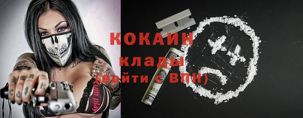 трава Белокуриха