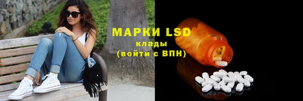 трава Белокуриха