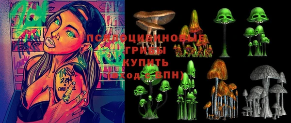 трава Белокуриха