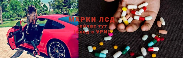 трава Белокуриха