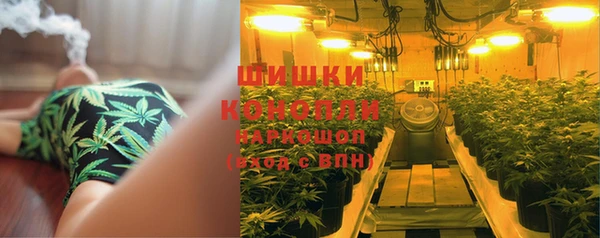 крисы Беломорск